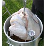 Turkey/Poultry